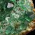 Fluorite Diana Maria Mine - Rogerley M04395